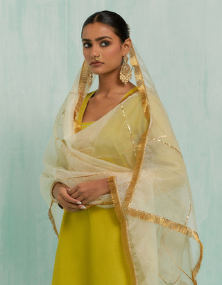 Lemon Green Rukhsaar Straight Kurta And Palazzo With Gold Silver Gota Details & Dupatta (Set Of 3)