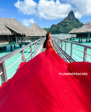 tail gown for pre wedding pre wedding long gown pre wedding photoshoot gowns