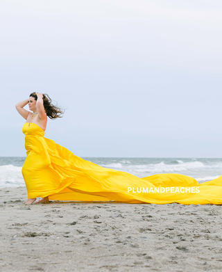 tail gown for pre wedding pre wedding long gown pre wedding photoshoot gowns