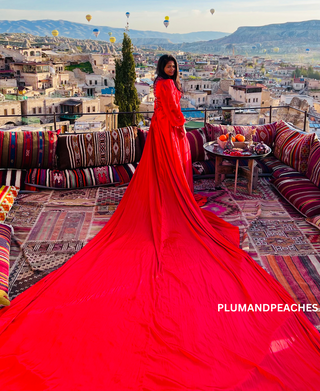 tail gown for pre wedding pre wedding long gown pre wedding photoshoot gowns